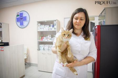 Фотография Центральная ветеринарная лечебница Уфимской городской ветеринарной станции 0