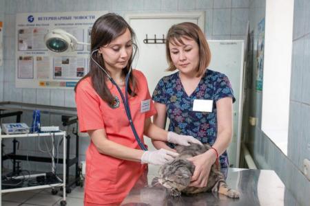 Фотография Центральная ветеринарная лечебница Уфимской городской ветеринарной станции 1